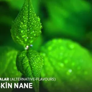 Keskin Nane Likit Aroması 10 ML