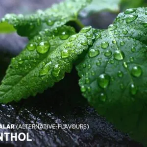 Menthol Likit Aroması 10 ML