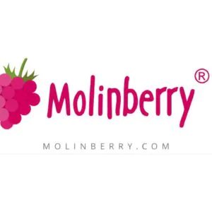 Molinberry Likit Aroması Büyük Boy Seçim